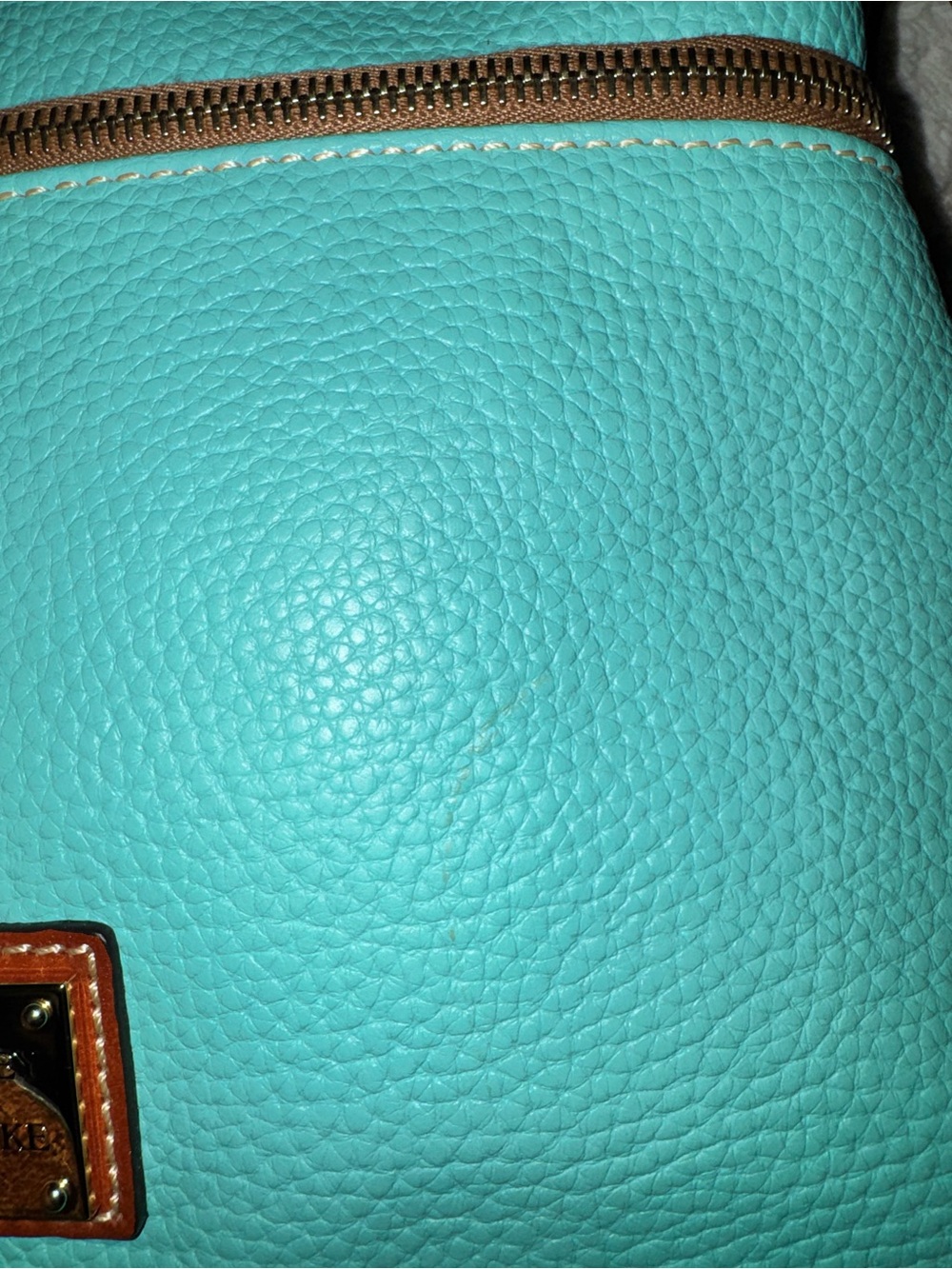 Dooney & Bourke Turquoise Pebble Leather Crossbody with Brown Trim - Picture 6 of 12